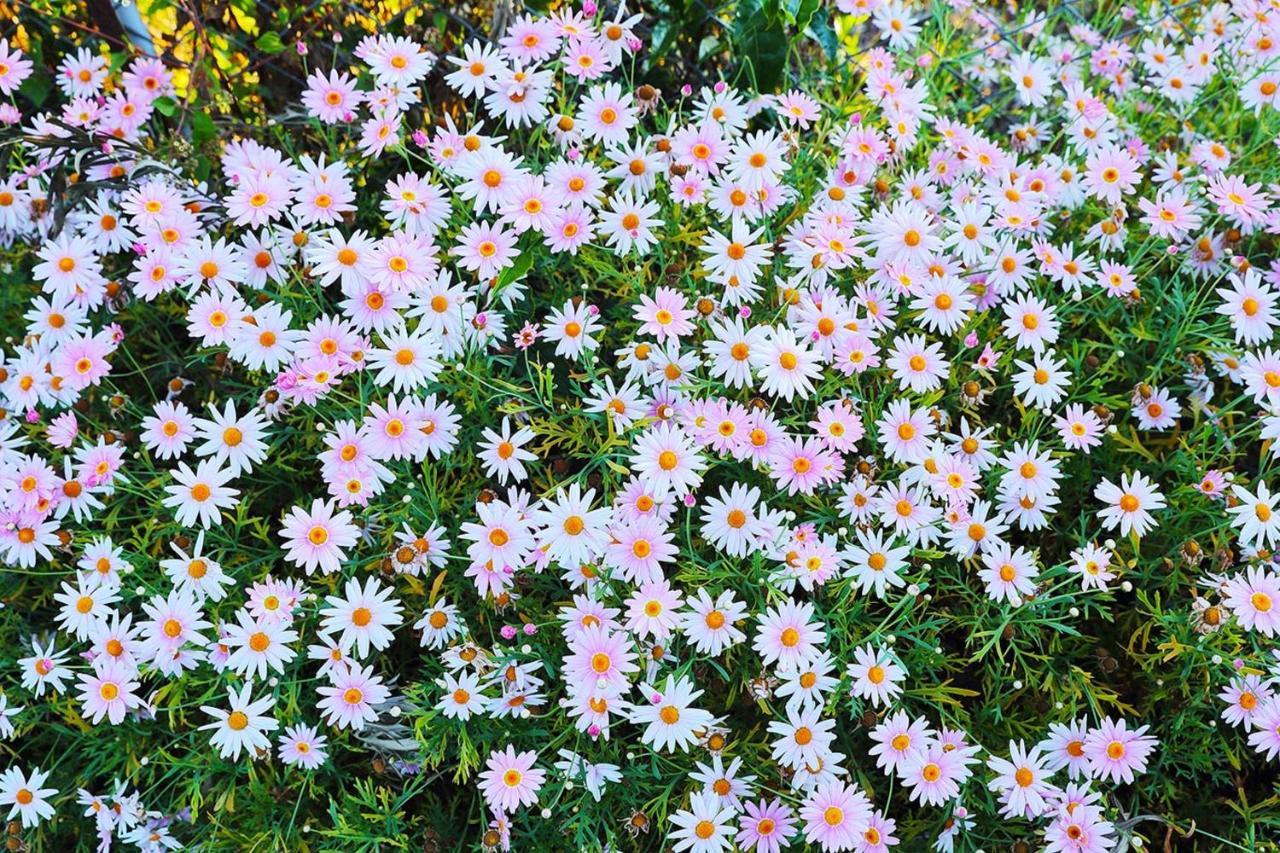 Hotel Logan Camp Ooty Coonoor Exteriér fotografie